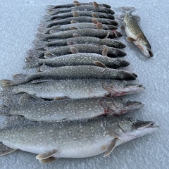 Эко-комплекс Мечта Сурсово, Тверская область