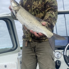 Эко-комплекс Мечта Сурсово, Тверская область