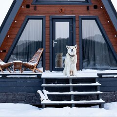 База отдыха Лисичкино, Республика Карелия