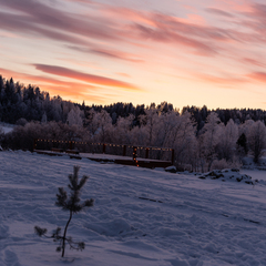База отдыха Лисичкино, Республика Карелия