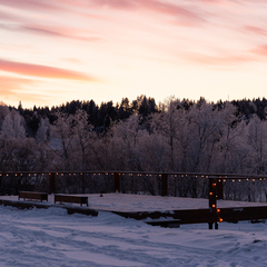 База отдыха Лисичкино, Республика Карелия