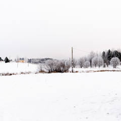 База отдыха Лисичкино, Республика Карелия