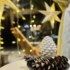 База отдыха Лисичкино, Республика Карелия