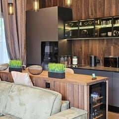 Гостевой дом Вилла Алина, Московская область