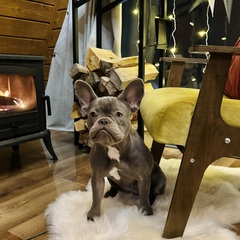 База отдыха Лисичкино, Республика Карелия