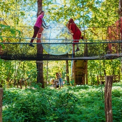 Парк-отель Озорные белки, Ленинградская область