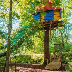 Парк-отель Озорные белки, Ленинградская область