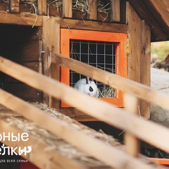 Парк-отель Озорные белки, Ленинградская область