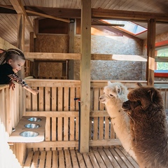 Парк-отель Озорные белки, Ленинградская область