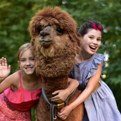 Парк-отель Озорные белки, Ленинградская область