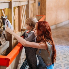 Парк-отель Озорные белки, Ленинградская область