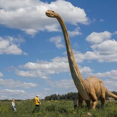 Курорт Золотой город, Тульская область