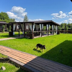 База отдыха Новокурово, Московская область