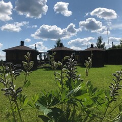 База отдыха Новокурово, Московская область