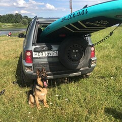 База отдыха Новокурово, Московская область