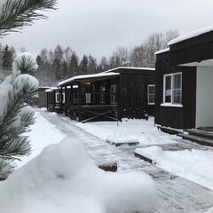 База отдыха Новокурово, Московская область