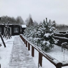 База отдыха Новокурово, Московская область