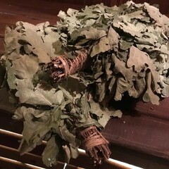 База отдыха Новокурово, Московская область