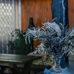 База отдыха Новокурово, Московская область