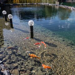 Глэмпинг THE LES, Московская область