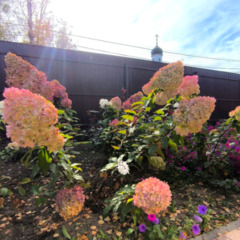 Отель Никольское, Московская область