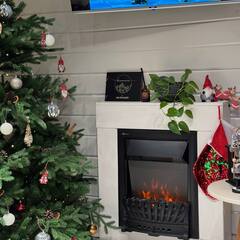 Глэмпинг Relax Villas Cube, Московская область