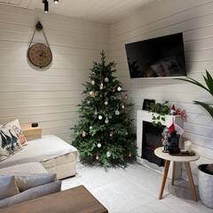 Глэмпинг Relax Villas Cube, Московская область