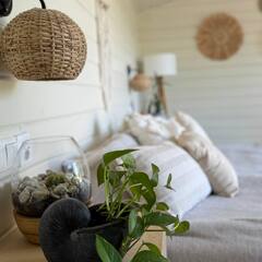 Глэмпинг Relax Villas Cube, Московская область