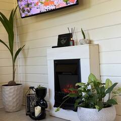 Глэмпинг Relax Villas Cube, Московская область