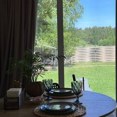 Глэмпинг Relax Villas Cube, Московская область