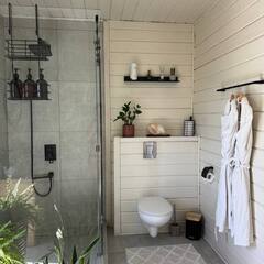 Глэмпинг Relax Villas Cube, Московская область