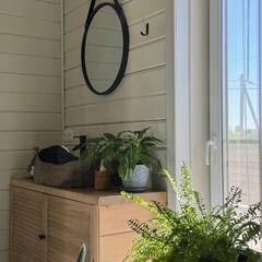 Глэмпинг Relax Villas Cube, Московская область