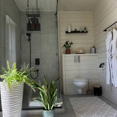 Глэмпинг Relax Villas Cube, Московская область