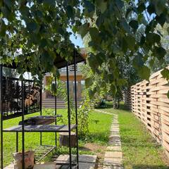 Глэмпинг Relax Villas Cube, Московская область