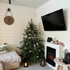 Глэмпинг Relax Villas Cube, Московская область