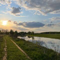 Глэмпинг Relax Villas Cube, Московская область