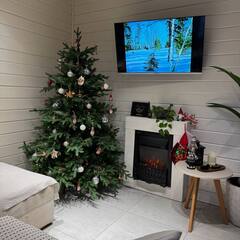 Глэмпинг Relax Villas Cube, Московская область