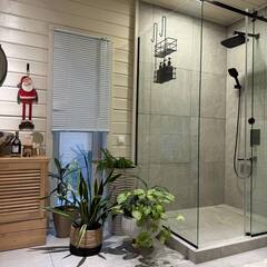 Глэмпинг Relax Villas Cube, Московская область