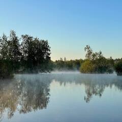 Глэмпинг Relax Villas Villa, Московская область