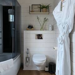 Глэмпинг Relax Villas Villa, Московская область