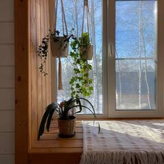 Глэмпинг Relax Villas Villa, Московская область