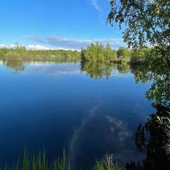 Глэмпинг Relax Villas Villa, Московская область