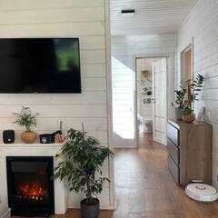 Глэмпинг Relax Villas Villa, Московская область