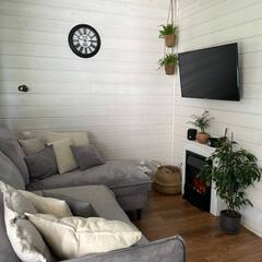 Глэмпинг Relax Villas Villa, Московская область