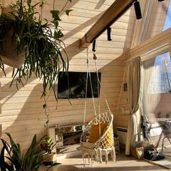 Глэмпинг Relax Villas Shalash, Московская область