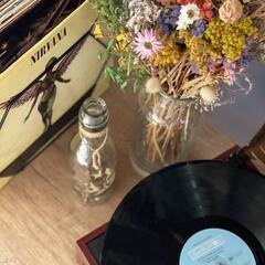 Глэмпинг Relax Villas Shalash, Московская область