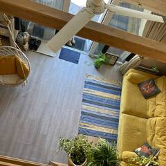 Глэмпинг Relax Villas Shalash, Московская область