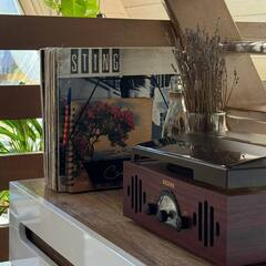 Глэмпинг Relax Villas Shalash, Московская область