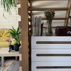 Глэмпинг Relax Villas Shalash, Московская область