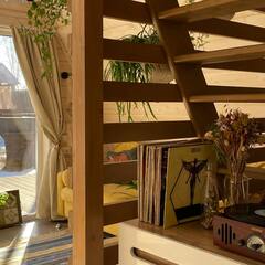 Глэмпинг Relax Villas Shalash, Московская область